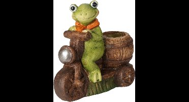 Keramische kikkerplantenpot, 15 cm