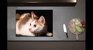 Inductieplaat Beschermer - Calicokat ligt voor zwarte achtergrond en kijkt naar zijkant - 71x52 cm - 2 mm Dik - Inductie Beschermer - Bescherming Inductiekookplaat - Kookplaat Beschermer van Zwart Vinyl