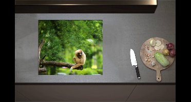 Inductieplaat Beschermer - Bruine Slinger Aap zittend op Bruine Tak kijkend naar Rechts - 60x52 cm - 2 mm Dik - Inductie Beschermer - Bescherming Inductiekookplaat - Kookplaat Beschermer van Zwart Vinyl