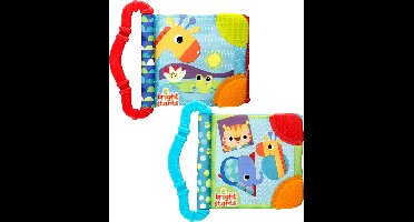 Babyboekje met bijtringen teethe & read - Bright Starts - vanaf 3 maanden