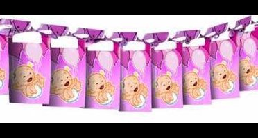 Geboorte meisje - papieren slinger - 4 meter