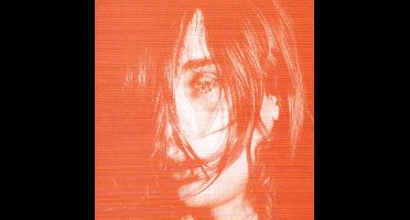 Microcastle / Weird Era Continued