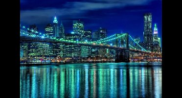 Educa Manhatten at night - 1000 stukjes