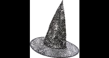 Vegaoo - Heksenhoed met spinnenweb voor volwassenen