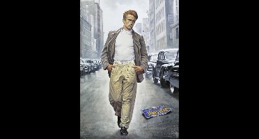 Schmidt Puzzel - Forever young