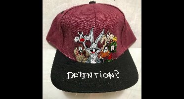 Looney Tunes Detention Cap - Pet