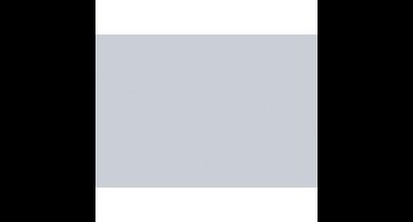 Folia Tekenpapier lichtgrijs 50X70/130G