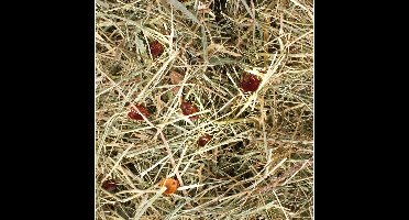 Flamingo Knaagdiervoer Berghooi met Rozenbottel