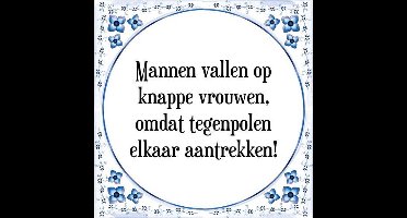 Tegeltje met Spreuk (Tegeltjeswijsheid): Mannen vallen op knappe vrouwen, omdat tegenpolen elkaar aantrekken! + Kado verpakking & Plakhanger