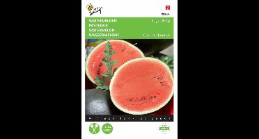 Buzzy Zaden - Watermeloen Sugar Baby - Citrullus lanatus