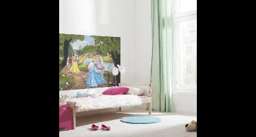 Disney Behang Royal Gala fotobehang