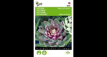 Buzzy Zaden Artisjok Violet de Provence - Cynara scolymus