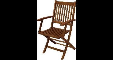 Klapstoel tuinstoel 2 stuks met armleuningen