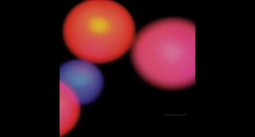 Arranged Marriage Np