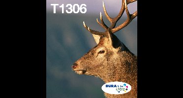 Epson T1306 - Inktcartridge /  Multipack / Kleur