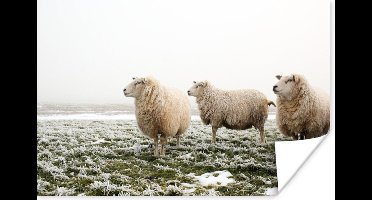 Poster Schapen - Mist - Winter - 30x20 cm