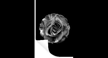 Muurstickers - Sticker Folie - Bloemen - Roos - Zwart - Wit - Botanisch - 20x30 cm - Plakfolie - Muurstickers Kinderkamer - Zelfklevend Behang - Zelfklevend behangpapier - Stickerfolie