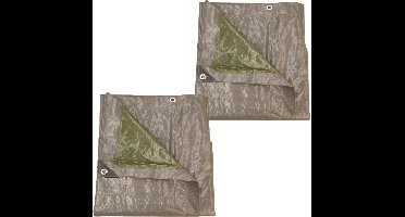 Talen Tools Afdekzeil/dekzeil - 2x - grijs/groen - kunststof - 140 gr/m2 - 500 x 800 cm - waterdicht