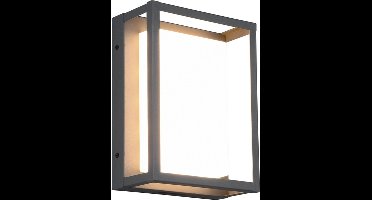 TRIO WITHAM - Wandlamp - Antraciet - incl. 1x SMD 10,5W - Lichtkleur instelbaar - Buitenverlichting - IP54