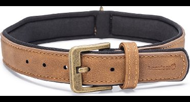 Beeztees Balacron Ax Halsband Hond - Kunstleer - Bruin - 38-48 cm x 25 mm