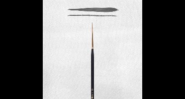 REMBRANDT WATER/OLIE/ACRYL LINER SERIE 310 NR 6