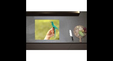 Inductieplaat Beschermer - Blauwe Origami Vogel op Hand van Mens in Groene Omgeving - 60x50 cm - 2 mm Dik - Inductie Beschermer - Bescherming Inductiekookplaat - Kookplaat Beschermer van Wit Vinyl