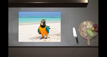 Inductieplaat Beschermer - Blauwe, Gele en Groen Gekleurde Are Papegaai op Wit Strand bij Oceaan - 71x52 cm - 2 mm Dik - Inductie Beschermer - Bescherming Inductiekookplaat - Kookplaat Beschermer van Zwart Vinyl