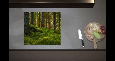 Inductieplaat Beschermer - Bomen in Bos bij Groen Begroeide Ondergrond - 57x52 cm - 2 mm Dik - Inductie Beschermer - Bescherming Inductiekookplaat - Kookplaat Beschermer van Wit Vinyl