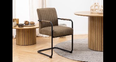 Eetkamerstoel Grijs - Incl. Armleuning - 51x64,5x84,5cm - Set van 2