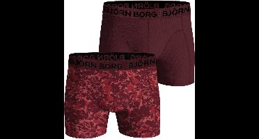 Björn Borg Cotton Stretch boxers - heren boxers normale lengte (2-pack) - multicolor