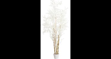 Light & Living - Kunstplant BAMBOO - 70x60x150cm - Bruin