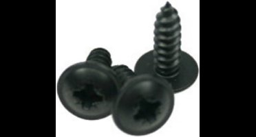 Adam Hall 5544BLK Spanplatenschroef set,20 Stk.,Flachhoofd 12mm - Schroeven