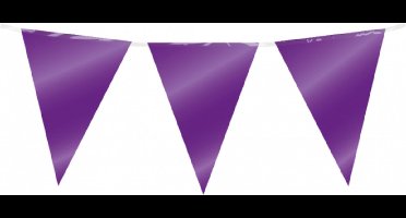Vlaggenlijn Folie Paars - 10 meter