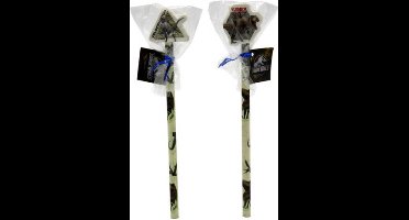 Jurassic World - Set van 2 potloden met gum