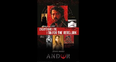 Poster Star Wars - Andor for the Rebellion 61x91,5cm