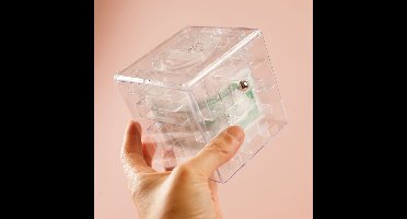 Ditverzinjeniet.nl Money Maze Geldpuzzel Spaarpot