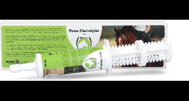 Excellent Electrolytes Gel Injector - 60 ml - Aanvullend diervoeder - Paard