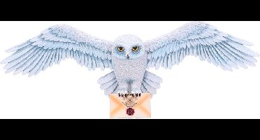 Harry Potter - Hedwig - 3D wanddecoratie (Nemesis Now)