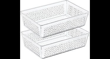 Storage Solutions Organizer/opbergmandje - 2x - kunststof - transparant - 2.3L - 23 x 15 x 6 cm