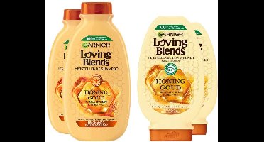 Garnier Loving Blends Honing Goud - Shampoo 2x 300 ml & Conditioner 2x 250 ml – Pakket