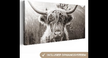 Canvas schilderij 40x20 cm - Wanddecoratie Schotse hooglander - Koe - Dieren - Zwart - Wit - Muurdecoratie woonkamer - Slaapkamer decoratie - Kamer accessoires - Schilderijen