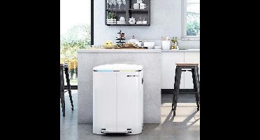 FurnStar Prullenbak 2 x 20L - 40L - 2 Vakken - Afvalscheiding - Roestvrij Staal