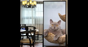 Raamfolie Brits korthaar - poes - kat - 60 x 120 cm
