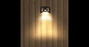 Solar wandlamp zwart 'Glare' - Down light - Buitenlamp met sensor - Tuinverlichting met sensor - Schijnwerper met bewegingssensor - Wandlamp op zonne-energie - Zwart