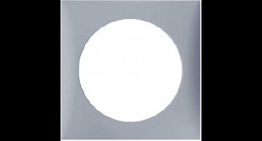 Hager Berker Integro Afdekraam Schakelmateriaal - 918272507 - E2FKS