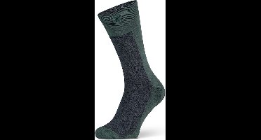 XPOOOS - Essential Graphics Heren bamboe Sokken - Badstof zool - 1-Pack - Maat 43/46 - Grijs & Groen