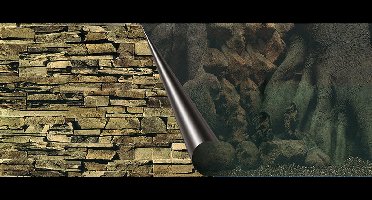 Ebi Foto Achterwand - Tree & Rock - 40 x 80cm