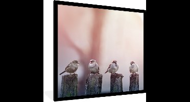 PosterMonkey - Poster - Fotolijst - Vogel - Mus - Paal - Lucht - 40x40 cm - Poster vogels - Foto in lijst - Poster natuur - Poster in lijst - Woonkamer - Kader