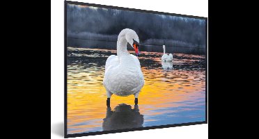 PosterMonkey - Poster - Fotolijst - Zwaan - Vogel - Zonsondergang - Water - 80x60 cm - Poster natuur - Poster in lijst - Foto lijst - Poster vogels - Kader - Posterlijst