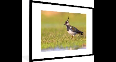 PosterMonkey - Poster - Fotolijst - Vogel - Natuur - Gras - Dieren - 80x60 cm - Posterlijst - Kader - Poster vogels - Frame poster - Poster met lijst - Poster natuur